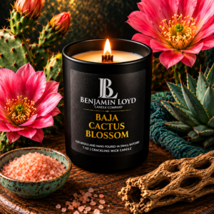 Baja Cactus Blossom